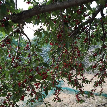Alle Pendici Dell'Etna Ragalna Екстер'єр фото