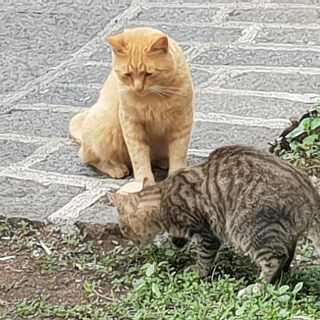 Alle Pendici Dell'Etna Ragalna Екстер'єр фото
