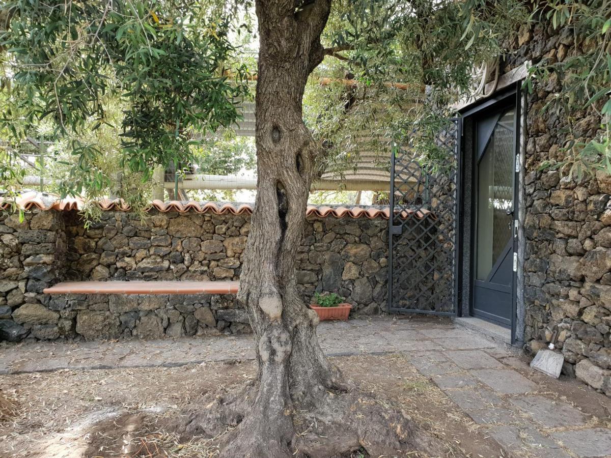 Alle Pendici Dell'Etna Ragalna Екстер'єр фото