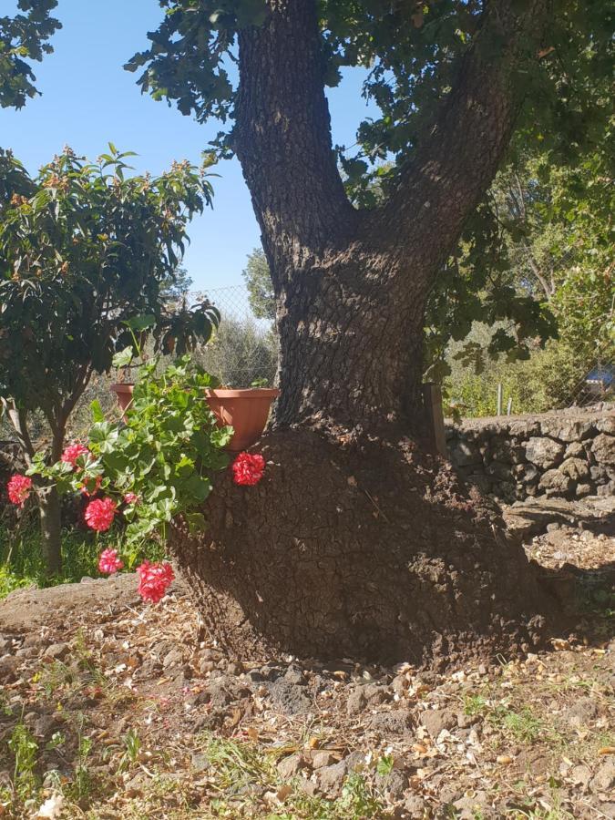 Alle Pendici Dell'Etna Ragalna Екстер'єр фото